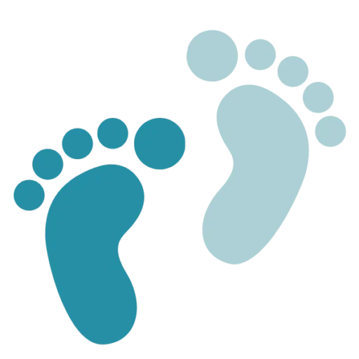 The Sole Alliance Directory